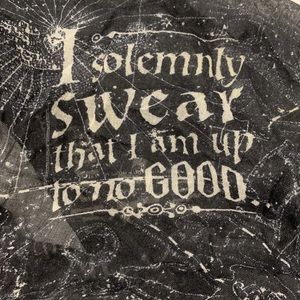 Harry Potter Infinity Scarf ⚡️